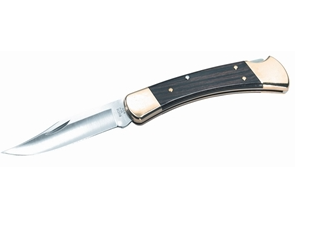 Buck Folding Hunter 3 34" Clp Blade