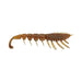 Rapala Crush City The Imposter 3'' [cl:bloodworm Uv]