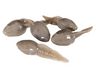 Berkley Gulp Alive [sz:tadpoles]