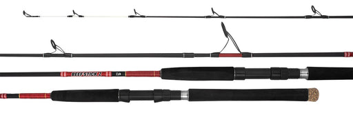 DAIWA 21 BEEFSTICK SPIN ROD [Sz:702LS]