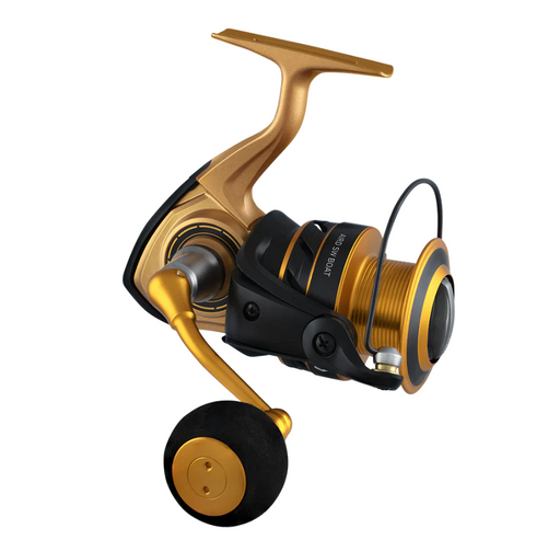 Daiwa 22 Aird Sw [model:surf 10000]