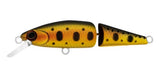 DAIWA SILVERCREEK DR MINNOW JOINT II 50S [Cl:CALI GOLDEN]