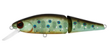DAIWA SILVERCREEK DR MINNOW JOINT II 70F [Cl:BROOK TROUT]