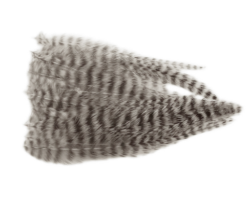 Wapsi Dry Fly Neck Hackle Mini Pack [sz:small Cl:natural Grizzly]