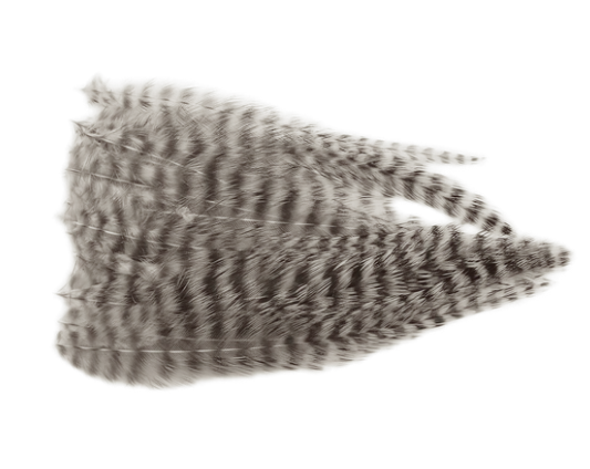 Wapsi Dry Fly Neck Hackle Mini Pack [sz:small Cl:natural Grizzly]