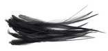 Wapsi Dry Fly Neck Hackle Mini Pack [sz:small Cl:black]