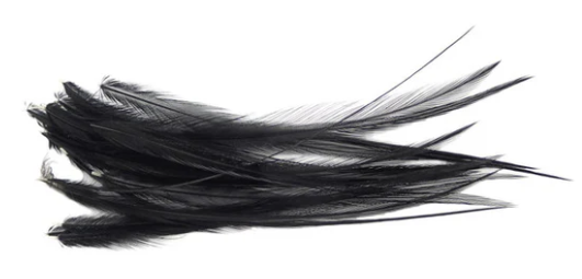 Wapsi Dry Fly Neck Hackle Mini Pack [sz:small Cl:black]