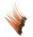 Wapsi Dry Fly Neck Hackle Mini Pack [sz:small Cl:brown]