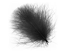 Wapsi Cdc Natural Black [cl:natural Black]