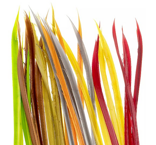 Wapsi Turkey Biots [cl:adams Gray]