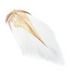 Wapsi Large Bucktail [cl:white]