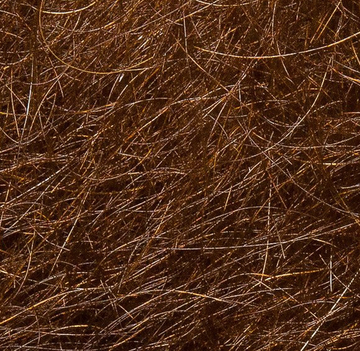 Wapsi Angora Goat [cl:brown]