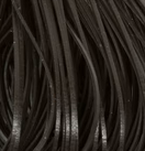 Wapsi Sili Legs Nymph Black Solid [cl:solid Black]