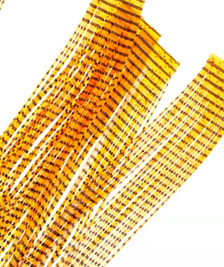 Wapsi Sili Legs Barred Hopper [cl:orange]