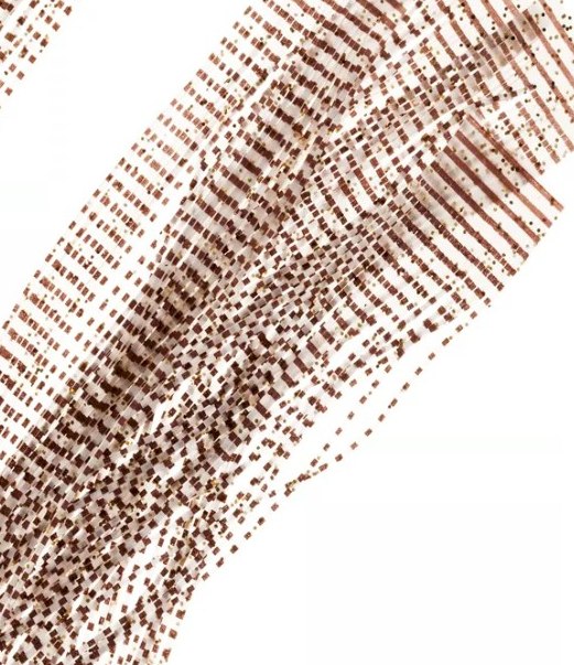 Wapsi Sili Legs Nymph Barred [cl:sand]