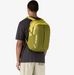 Patagonia Refugio Day Pack 26l [cl:graze Green]