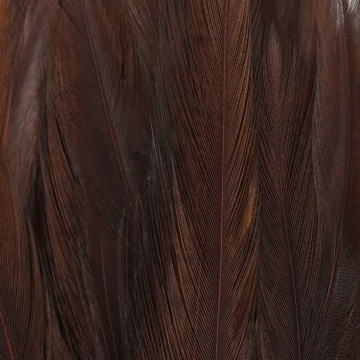 Tiewell Strung Saddle Feathers Long [cl:brown]