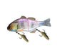 Jackall Gantarel [cl:sexy Clear Pink Gill]
