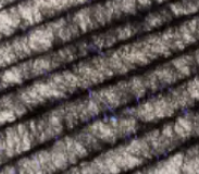 Just Add H20 Nymph Dub Flash [cl:black]