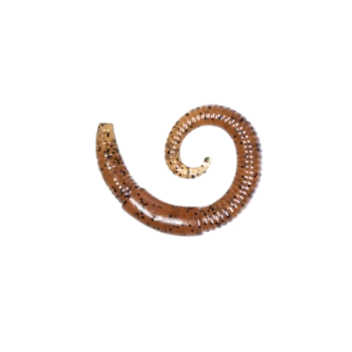 Lunkerhunt River Worm [cl:pumpkin]