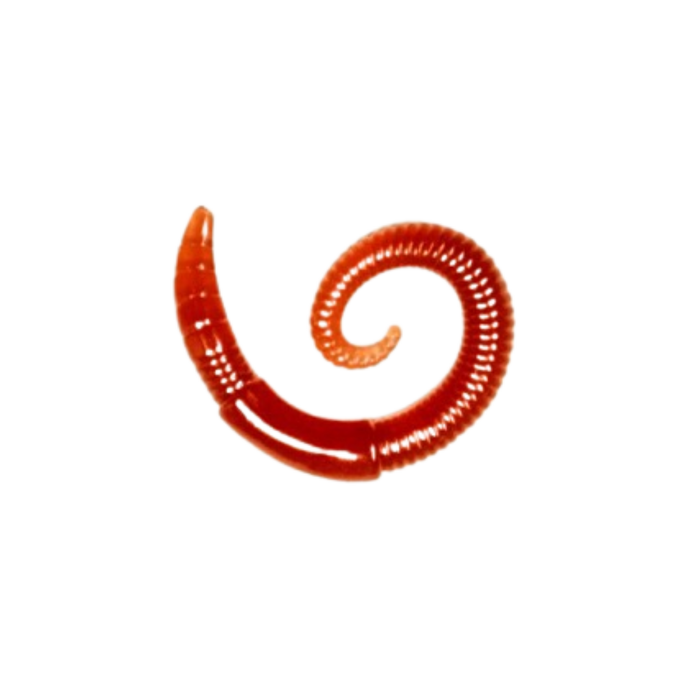 Lunkerhunt River Worm [cl:garden Worm]