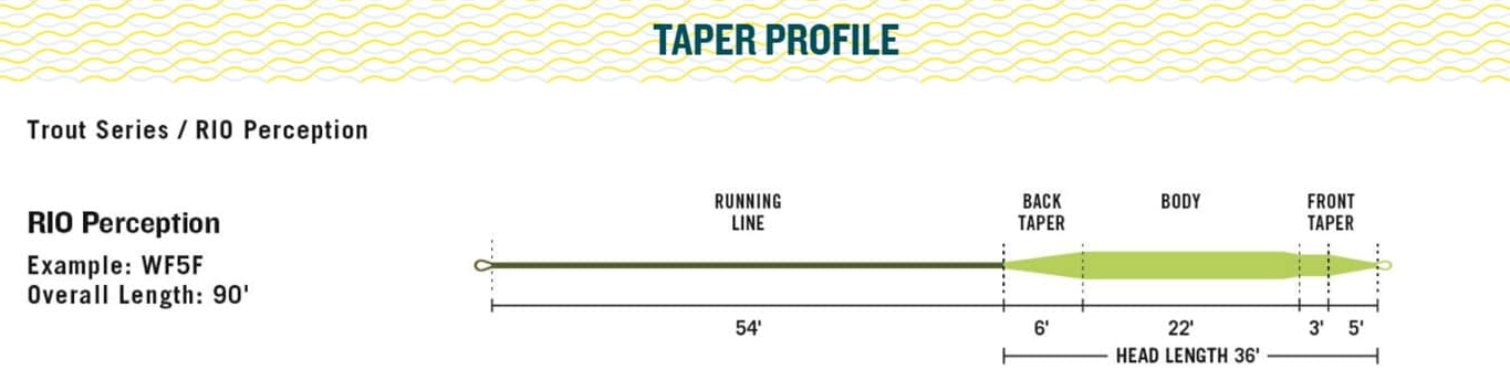 Rio Premier Perception [sz:wf3f]