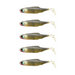 Biwaa Submission 3" Ghost Gill - 5 Pack