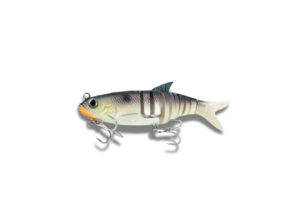 Molix Swim Shad 150 [cl:blue Back Herring]