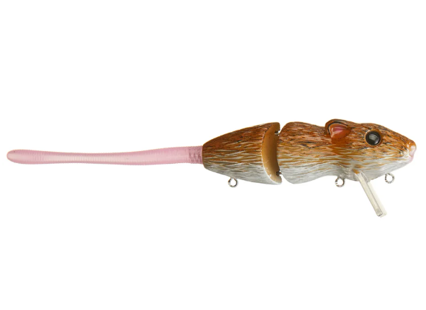 Bucca Baby Bull Rat 3.5' [cl:field Mouse]