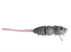 Bucca Baby Bull Rat 3.5' [cl:sewer Rat]