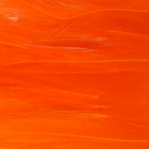 Tiewell Strung Saddle Feathers Long [cl:orange]