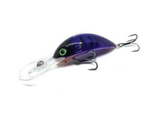 Barambah B80 Diver [cl:purple & Black]