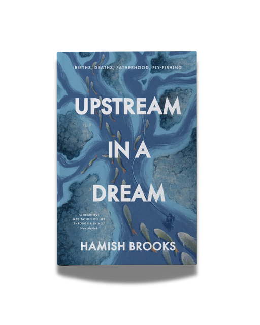 Upstream In A Dream By Hamish Brooks